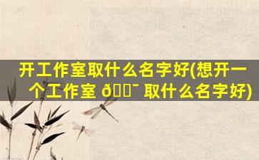 开工作室取什么名字好(想开一个工作室 🐯 取什么名字好)
